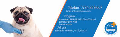 Homevet cabinet veterinar sector 3, bucuresti, sector 3. Tarife Enlexion Cabinet Veterinar Sector 6