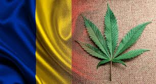 Propunerea de revizuire a legilor din jamaica, cu privire la statutul legal al marijuanei a primit aprobarea prim ministrului si intregului cabinet. What Cannabis Business In Romania You Can Start
