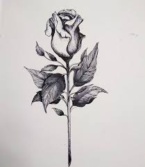 Jess Rebell On Instagram Rose Rosetattoo Roses Tattoos Girlswithtattoo Tattooidea Tattoodesign Iblackwork Blac Rose Tattoos Tattoo Drawings Drawings