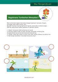 Belajar Anak Tumbuhan 6 Elementary Schools Elementary Coding