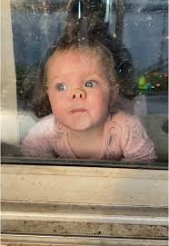 Dog Licking Window Rock