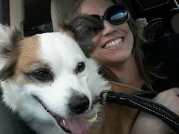 Irish jack russell dogs from same litter