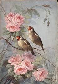 99 mejores imágenes de Rosas antiguas | Rosas, Flores vintage ...