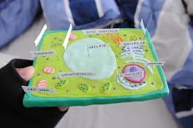 Ploughing is the process of loosening and digging of soil using a plough. Diy Org The Learning Community On Twitter Model Of An Animal Cell Out Of Clay Made By Feel Mars Http T Co Mv7vs4l6bw Http T Co 4lvmdvenal