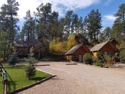 Hotels, apartments, villas, hostels, resorts, b&bs Rustic Ridge Guest Cabins