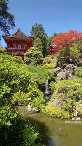 A quiet afternoon at the Japanese Tea Garden in San Francisco's Golden Gate  Park. 🍵🌸