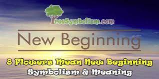Check spelling or type a new query. 8 Flowers Mean New Beginning Symbolism Meaning