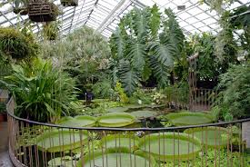File Jena Botanical Garden 08 Aka Jpg Botanischer Garten Garten Kulturlandschaft