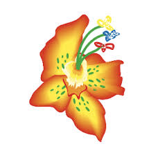 Check out our wholesale flowers selection for the very best in unique or custom, handmade pieces from our shops. Colombia Direct Reviews Read Customer Service Reviews Of Colombiadirect Co Uk