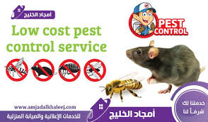 افضل شركة مكافحة حشرات بالمدينة المنورة بض مان وخصم 15 ورش مبيدات فع الة Pest Control Pests Control
