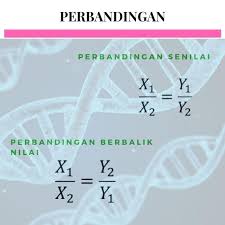 Berikan 3 Contoh Perbandingan Senilai Dan 3 Contoh Perbandingan Berbalik Nilai Yang Kreatif Brainly Co Id