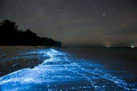 42 Places That Are Straight Out Of Fairy Tales Ocean At Night Sea Of Stars Beach At Night