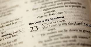 31 Bible Verses For Hope During Covid 19 Inspiring Scripture Quotes Life ends when you stop dreaming, hope ends when you stop believing and love ends when you stop caring. 31 bible verses for hope during covid