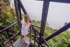 What companies run services between ipoh airport (iph), malaysia and cameron highlands district, malaysia? Experience Real Cameron Highland From Ipoh 2021