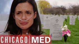 Will Halstead, Natalie Manning Relationship Timeline On Chicago Med