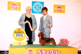 シルトクレーテ
