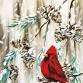 Paint Nite: Red Cardinal in a Winter Pine event image