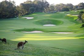 Can T Wait To Get Here Need Some Game Time First To Get Back Up To Speed Joondalup Perth Western Australia Joondalup Re Golf Courses Golf Resort Golf