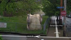 One of the most useful technological inventions of the past decade is google. Funny Things Google Earth Has Found Get Funny Quote Says