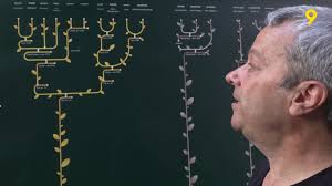 Dans le Val d’Hérens deux passionnés de généalogie ont établi un arbre  d’une ampleur inédite. Exposé en plein cœur du village d'Evolène, il mesure  pas moins de 10 mètres de longueur sur deux mètres de ...