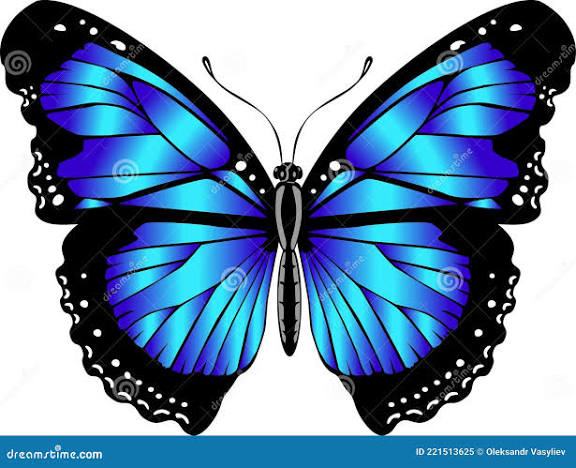 Hermosa Mariposa Azul Brillante. Ilustración Vectorial Aislada Ilustración  del Vector - Ilustración de mosca, forma: 221513625