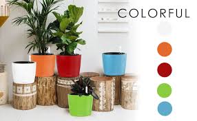 We did not find results for: Amazon Com Gardenbasix 7 Inch Self Watering Planter With Coco Potting Soil Indoor Outdoor Home Garden Foolproof Modern Decorative Planter Pot For Herbs Plants Flowers African Violets 3 White Kitchen Dining
