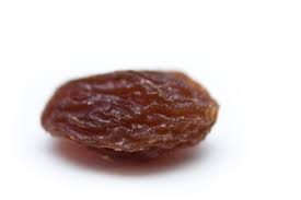 Image result for raisin