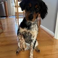 30+ "Luckenbaugh" profiles