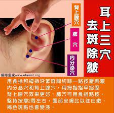 耳朵上3個穴位常按去斑除皺 達摩動能專業筋絡整復推拿 dmke 痞客邦 health knowledge health and fitness articles health info