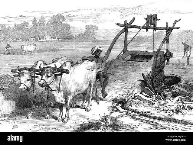 Bengal famine of 1873 1874 hi-res stock photography and images - Alamy