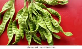 Image result for Crudia