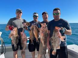 We did not find results for: Englewood Fishing Charters Anchors Away Charters
