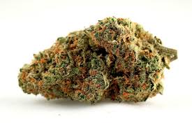 Bud.com delivers sky cookies 3.5g. Animal Cookies Mid Shelf 25 3 5g 60 14g Or 120 28g