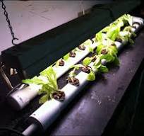 home made DIY DFT / NFT PVC Hydroponic System - YouTube
