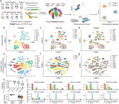 The specific admission criteria and documentation requirements for international applicants to each of our degree programs are provided below. Epigenomic Diversity Of Cortical Projection Neurons In The Mouse Brain Biorxiv