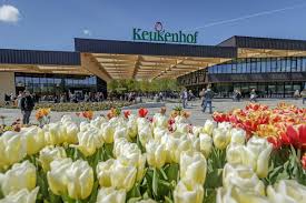 269,499 likes · 32,191 talking about this. Keukenhof Tulip Gardens Amsterdam Holland Opening Hours Prices