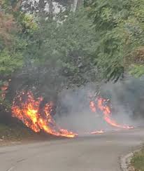 Live incendio pineta dannunziana pescara. Abruzzo Altro Incendio A Pescara Brucia La Collina Di San Silvestro Case Evacuate 12 Intossicati
