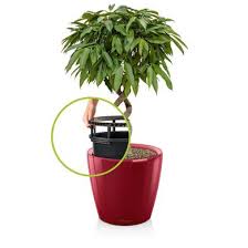 Planters Discover our various styles made in germany. planters