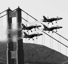 Image result for White 1981 Fleet