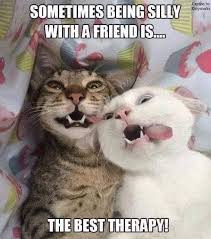 Who Would Do This To These Poor Cats All For A Photograph Silly Cats Cute Funny Animals Funny Animal Memes