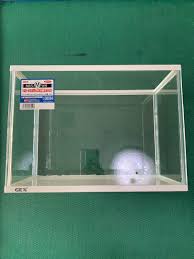 10 bonus betta breeding tips. Fish Tank Or Betta Fish Breeding Tank Pet Supplies For Fish Fish Tanks On Carousell