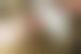 Рак молочной железы у собаки - причины, симптомы и лечение