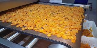 대형 식품 가공 공장에 설치된 연속식 터널형 열풍 건조기 내부에서 제품이 이동하며 건조되는 모습