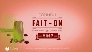 Comment Fait On Le Vin Toutlevin Com Youtube