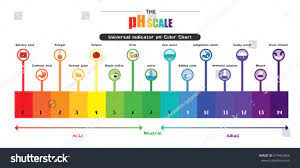 The Ph Scale Universal Indicator Ph Color Chart Diagram Acidic Alkaline Values Common Substances Vector Illustration Flat Design Icons Color Chart Icon Design
