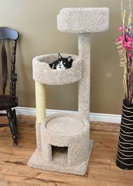 New Cat Condos Premier Cat Perch 94 99 Http Www Newcatcondos Com Premier Cat Perch Cat Perch Cat Condo Cat Houses Indoor
