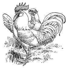 Black And White Hen Clipart White Leghorn Black And White Clip Art Farm Animal Image Vintage Chicken Clipart Vintage Rooster Il Clip Art Vintage Leghorn Chickens White Leghorn Chicken