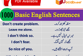 Basic English Sentences With Urdu And Hindi Translation Pdf Vocabineer Basic English Sentences English Sentences Vocabulary Words