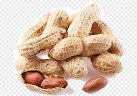 From kacang (nut) +‎ tanah (soil). Kacang Kacang Almond Kenari Inggris Almond Buah Kering Makanan Kacang Kacangan Png Pngwing