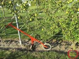 Epingle Par Eric Van Dorpe Sur Potager Carre Potager Potager Permaculture Potager